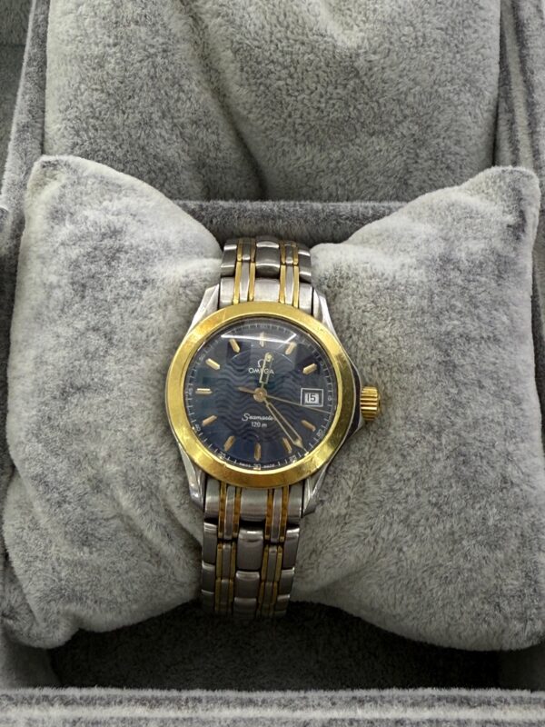 OMEGA SEAMASTER 120M