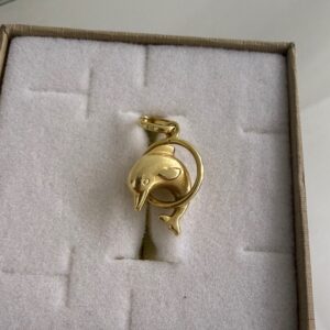 ZLATNI PRIVJESAK DUPIN