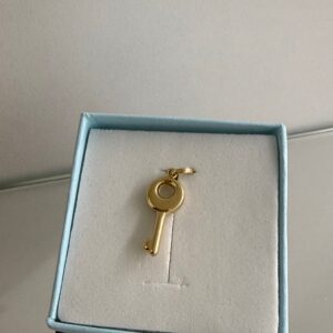 ZLATNI PRIVJESAK KLJUČIĆ