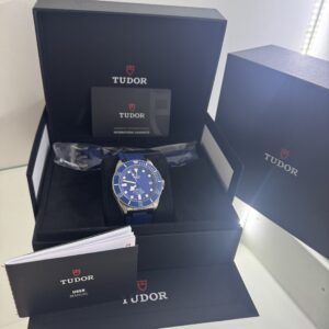 TUDOR PELAGOS SAT