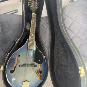 MANDOLINA VINTAGE VFM500E