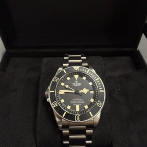 TUDOR PELAGOS